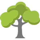 Post Falls Tree Removal