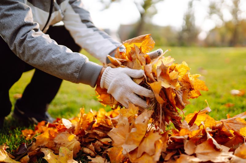Leaf Clearing Services