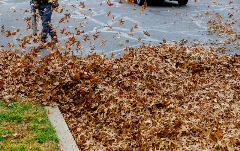 Benefits of Regular Leaf Clearing