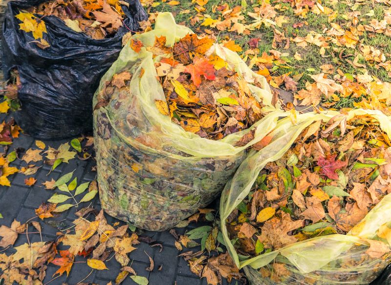 Efficient Leaf Disposal