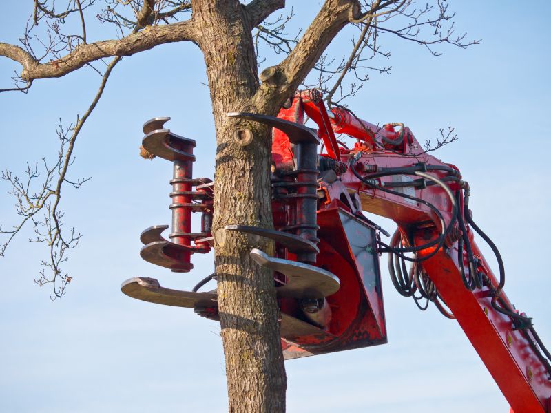 Emergency Tree Removal Equipment