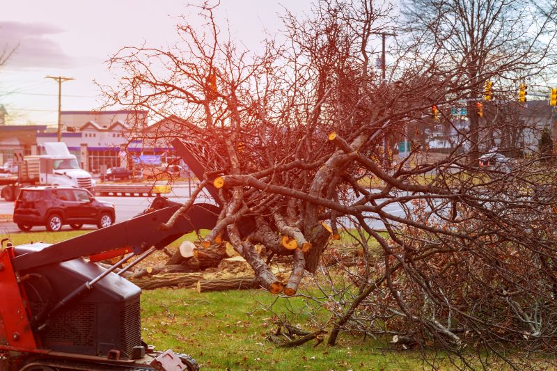 Tree Removal Equipment
