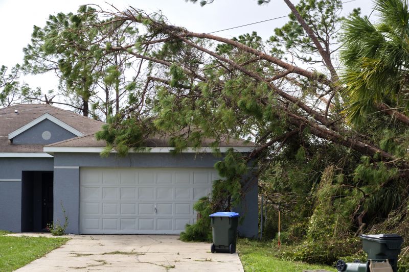 Hazard Tree Removal